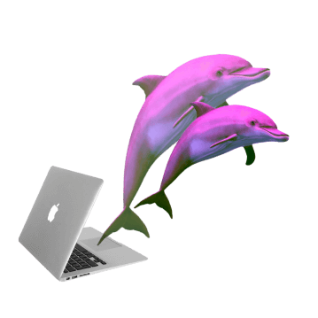 vapor wave dolphin with a Mac